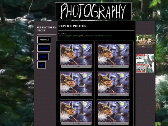 photos/reptilephotos screenshot