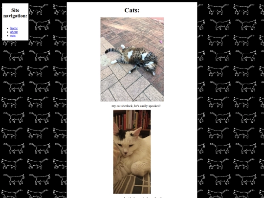 cats screenshot