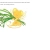 The web site of septublebaka avatar