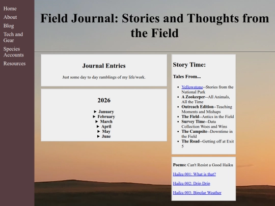 blog screenshot