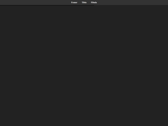model2 screenshot
