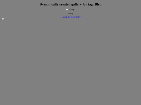 tagDirectoryTester/Bird screenshot