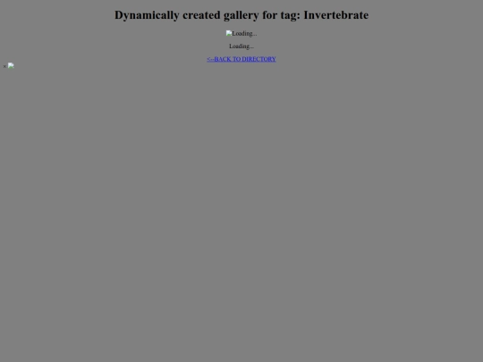 tagDirectoryTester/Invertebrate screenshot