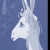 dreamvalley.yorniq.xyz avatar