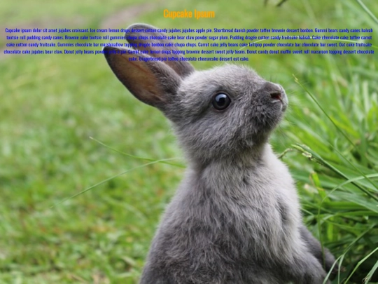 WEB-DESIGN/2-CSS/CSSPractice1 screenshot