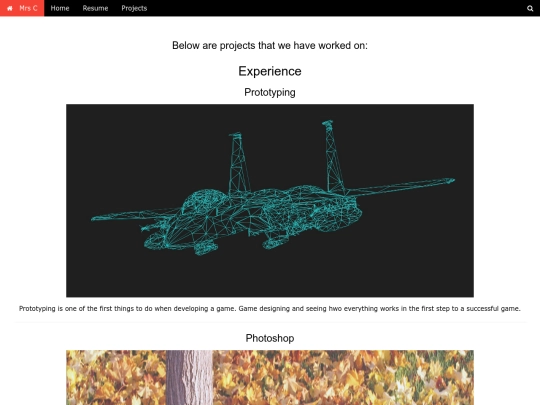 Website/My Work screenshot