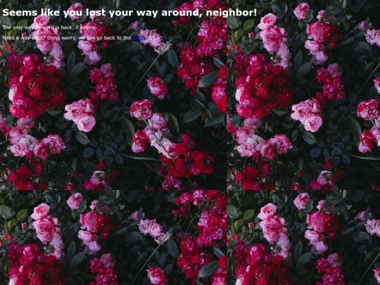 musicplayer screenshot
