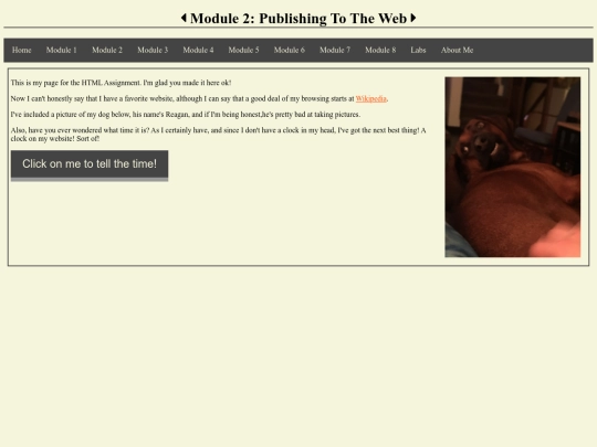 module2 screenshot