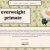 Home - OverweightPrimate avatar
