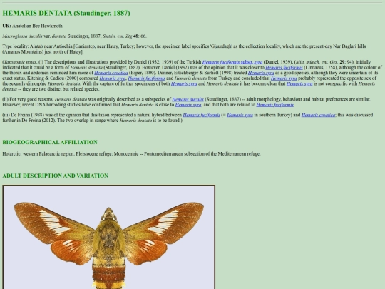 sphinx/h_den screenshot