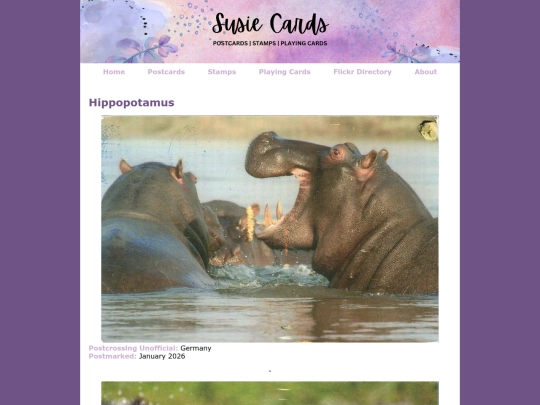 postcardgalleries/hippopotamus screenshot