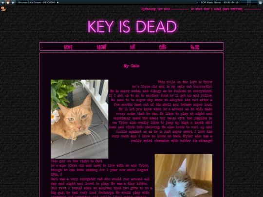cats screenshot