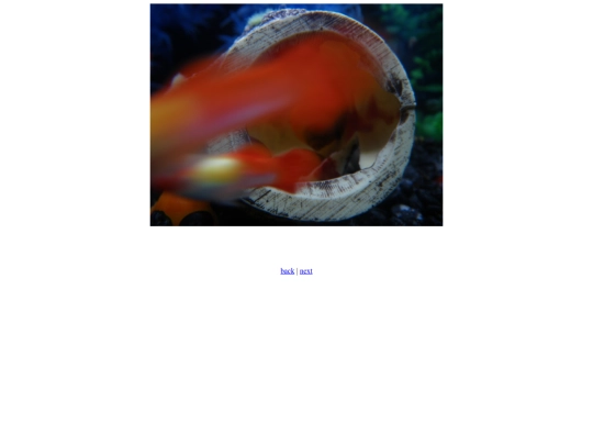 FishTail screenshot