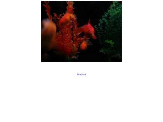 Swimmy screenshot