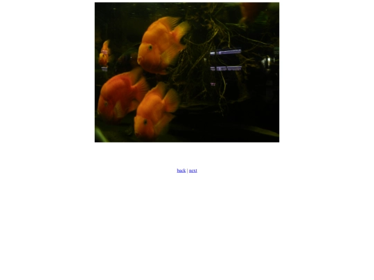 Three screenshot