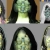 the-sludge-pit.yorniq.xyz avatar