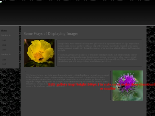 link2 screenshot