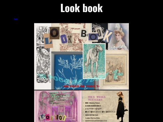 lookbook screenshot