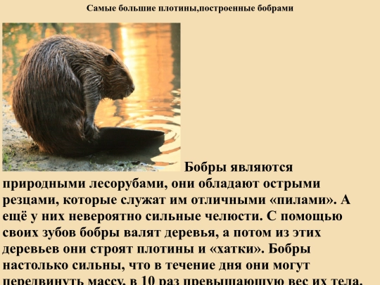 4 screenshot