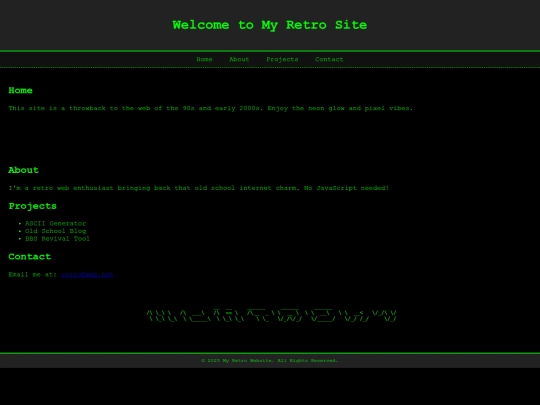 retro_website screenshot