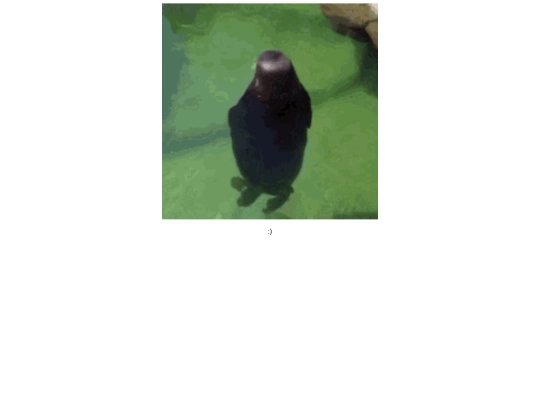 seal screenshot