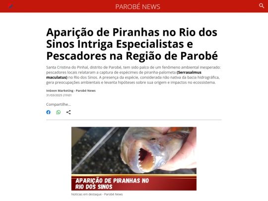 pnews/piran screenshot