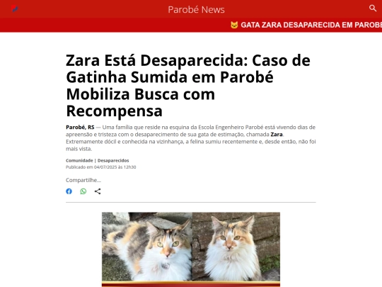 pnews/rotacao screenshot