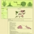 The Age of Arthropods avatar