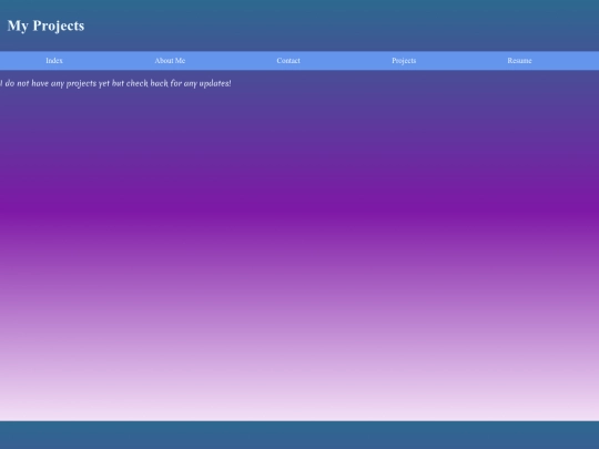 projects screenshot