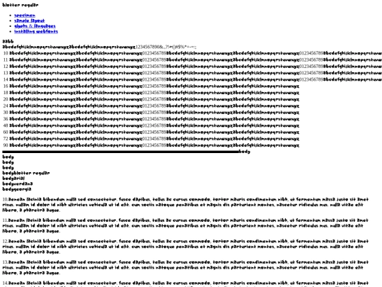 fontin/blotter/blotter-regular_1-demo screenshot