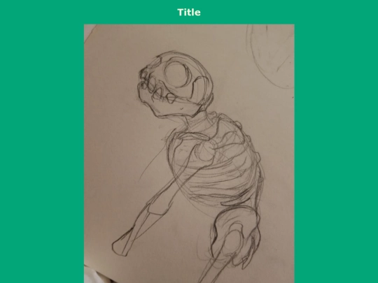 BuddyGallery/FilboAnatomy screenshot