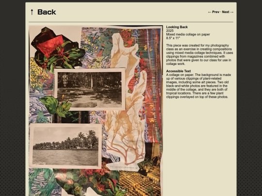 page/lookingback screenshot