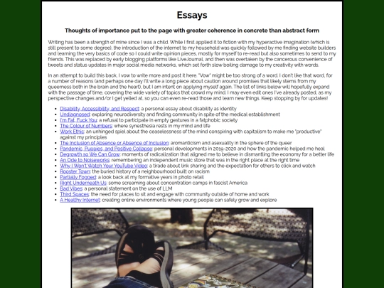 essays screenshot