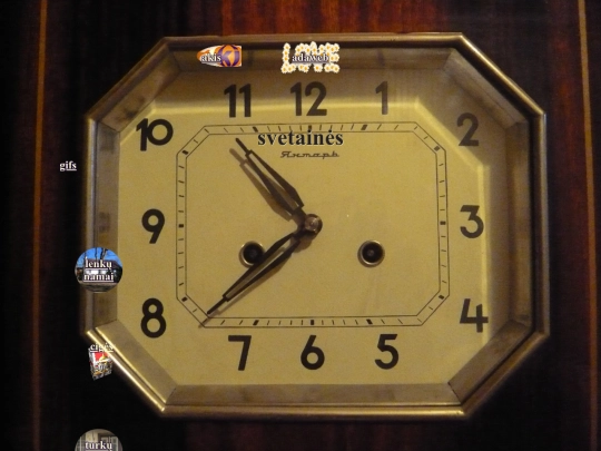 mikrokosme screenshot