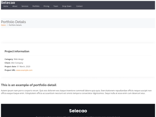 portfolio-details screenshot