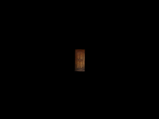 void screenshot