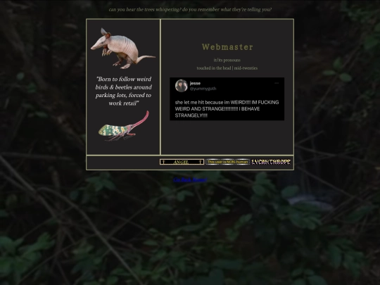 about screenshot