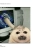 anyaforgernutss.yorniq.xyz avatar