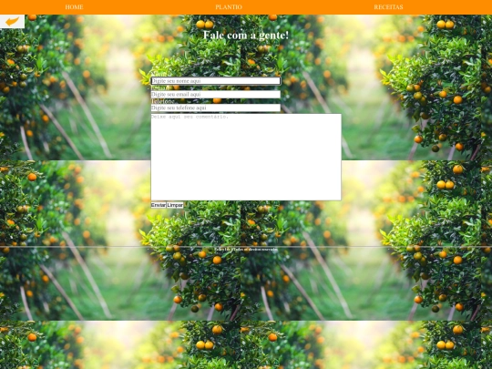 contato1 screenshot