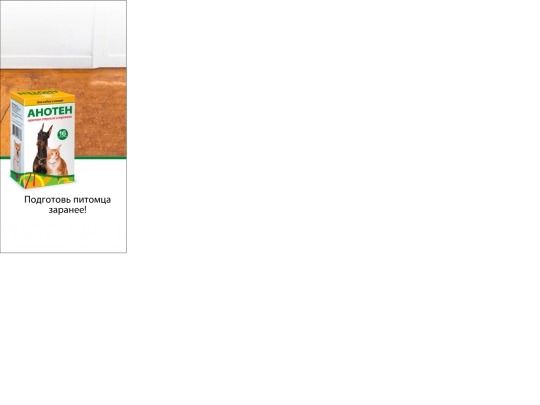 anoten_may/anoten_may_300x600_/anoten_may_300x600_ screenshot