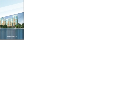 banners/citylake/2/citylake_google_240-400_newFont/citylake_google_240-400 screenshot