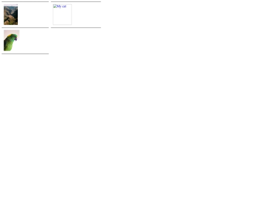 _private/real_p screenshot