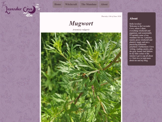 Blogs/mugwort screenshot