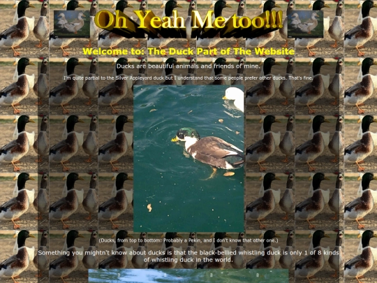duck screenshot
