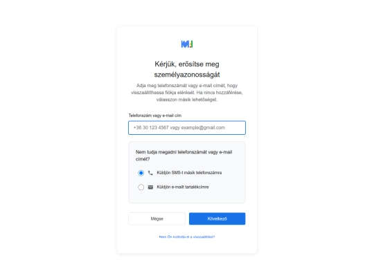 google screenshot