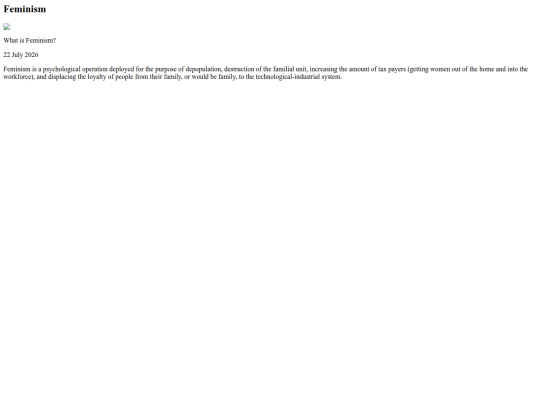 essays/feminism screenshot