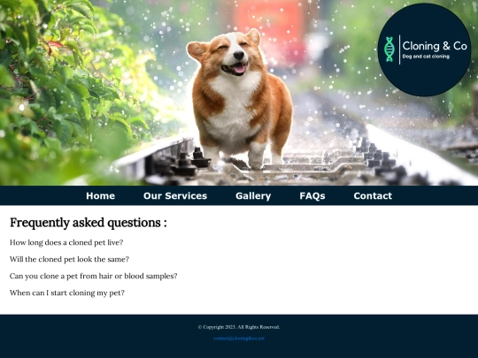 faqs screenshot