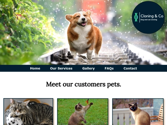 gallery screenshot