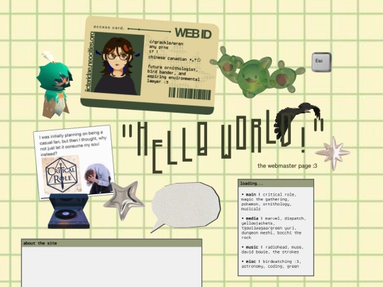 webmaster screenshot