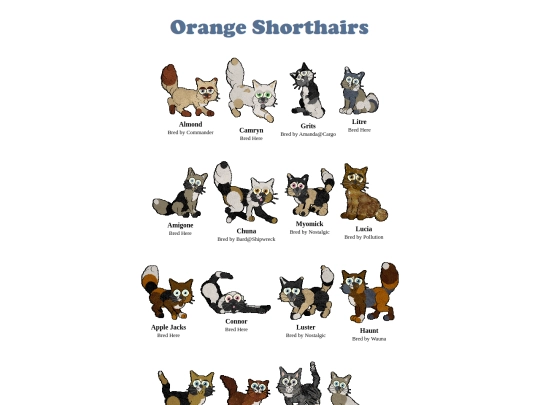 orange-shorthairs screenshot